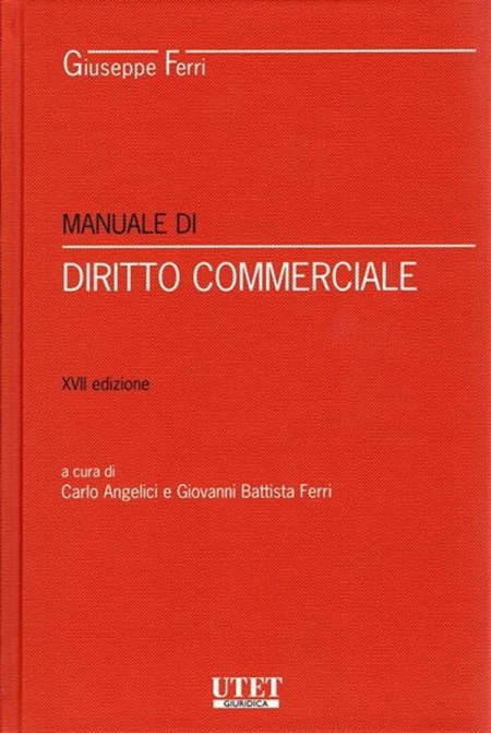 17273835382852-manualedidirittocommerciale