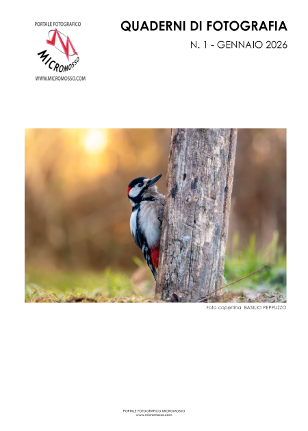 1772896524282-01gennaio2026